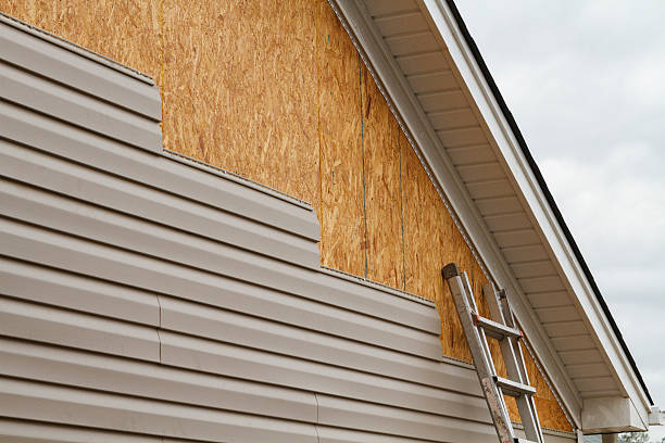 Best Custom Trim and Detailing for Siding  in Matamoras, OH